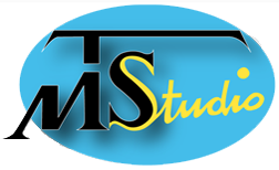 MTS Studio Logo